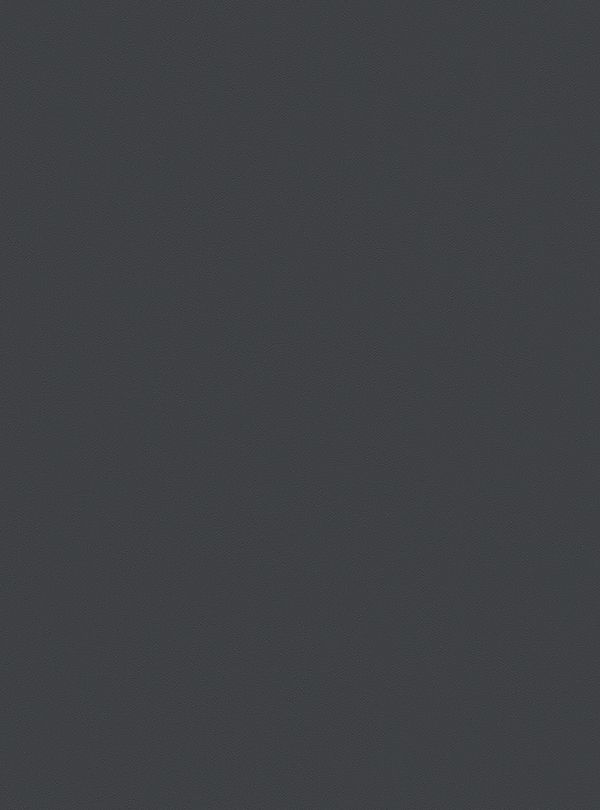 Film adhésif décoratif extérieur couleur gris anthracite intense Ultimatt Essentiel Cover Styl EXT-Z12 pour rénovation de façade, porte extérieure et mobilier outdoor