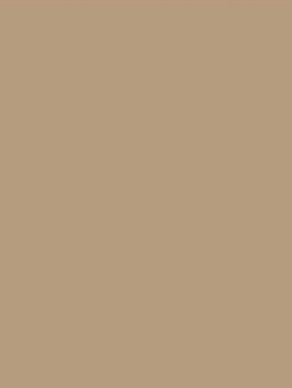 Film adhésif décoratif Cover Styl NE55 beige café au lait finition petit grain