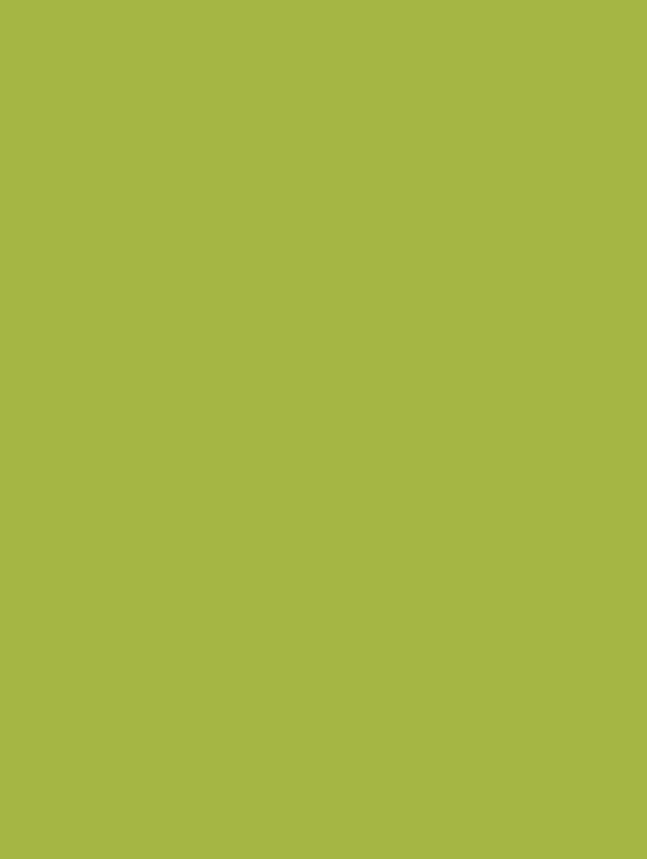 Film adhésif décoratif Cover Styl NF05 vert gazon finition petit grain