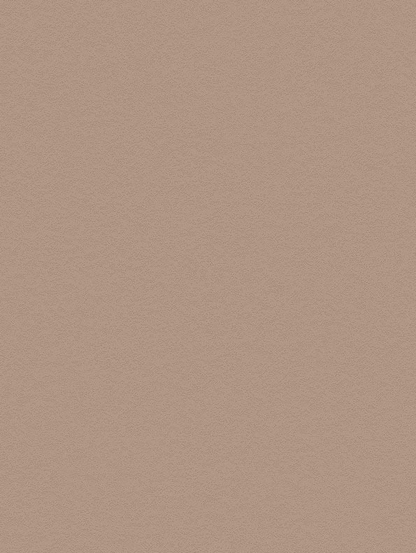 Film adhésif effet béton stuc terracotta Cover Styl NH12 finition pur texturé