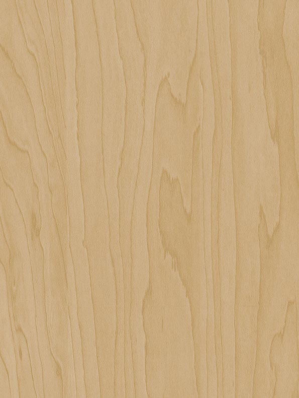 Film Adhésif Bouleau Beige Doré CT20 – Covering Bois Meuble & Cuisine | Cover Styl