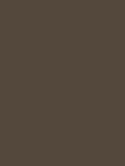 Film adhésif décoratif Cover Styl NF09 couleur cacao finition petit grain