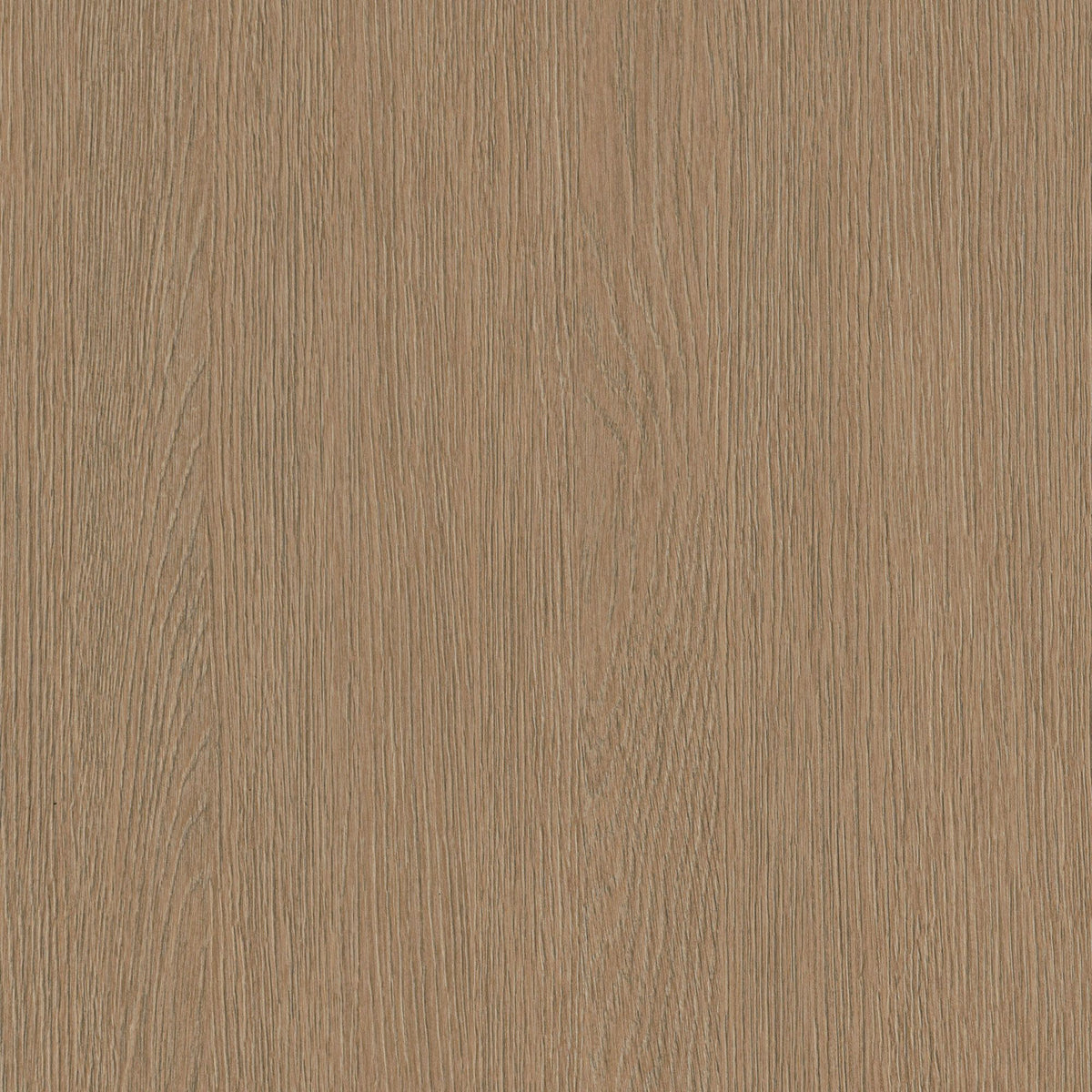 Film adhésif décoratif Cover Styl NK50 Silt Oak chêne beige brun, veinage longitudinal et finition Prestige mate pour meubles et murs