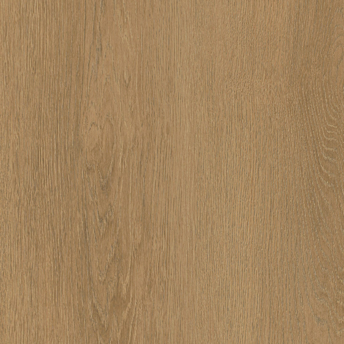 Film adhésif décoratif Cover Styl NK61 Terra Oak chêne brun doré, veinage longitudinal et finition Prestige mate pour meubles, murs et escaliers.