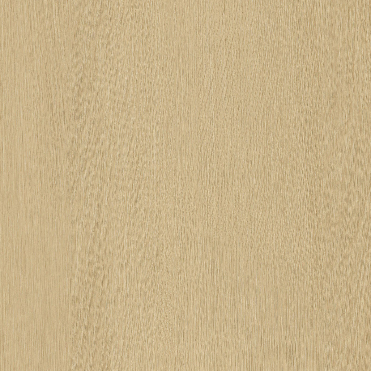 Film adhésif décoratif Cover Styl NL52 Barley Oak, décor chêne clair et finition Prestige mate pour meubles, murs et escaliers