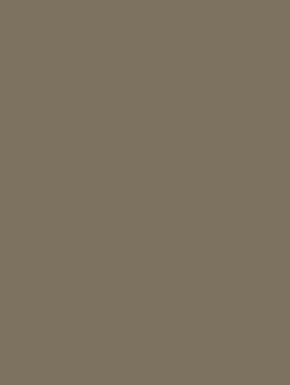 Film adhésif décoratif Cover Styl RM14 taupe champignon finition petit grain
