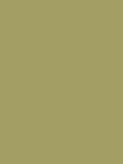 Film adhésif décoratif Cover Styl RM19 vert olive finition petit grain