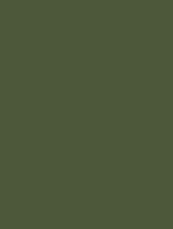 Film adhésif décoratif Cover Styl RM21 vert militaire finition petit grain
