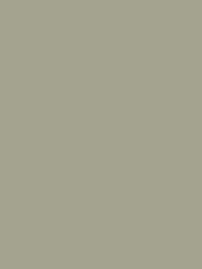 Film adhésif décoratif Cover Styl RM30 vert olive pastel finition petit grain