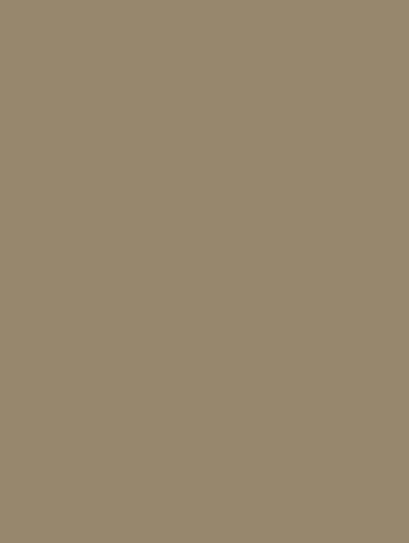Film adhésif sans PVC Cover Styl couleur kaki finition petit grain