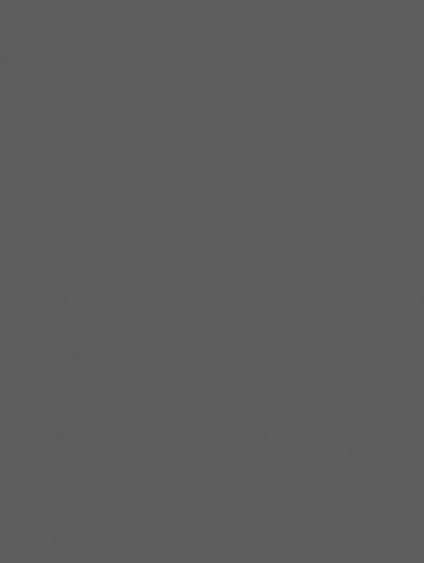 Film adhésif décoratif SANS PVC Cover Styl PF-K5 gris ciment finition petit grain